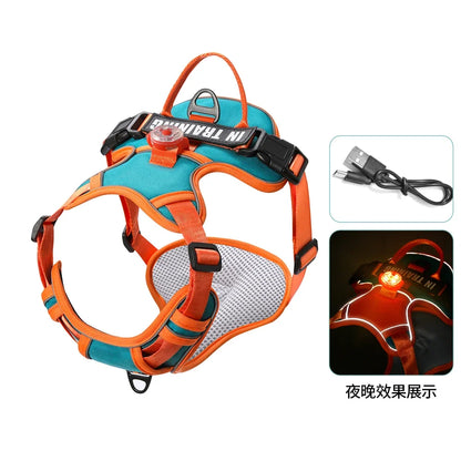 USB Rechargeable LED Harness