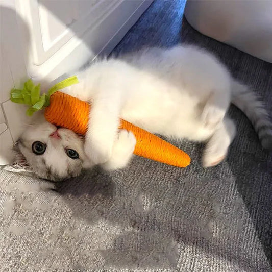 Sound Carrot Toy