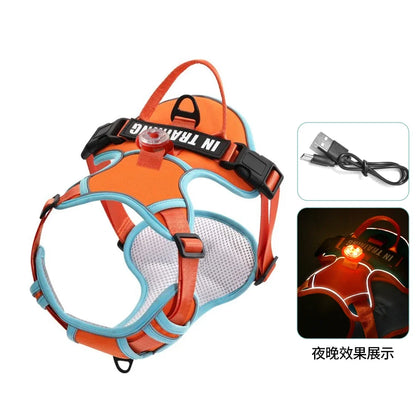 USB Rechargeable LED Harness