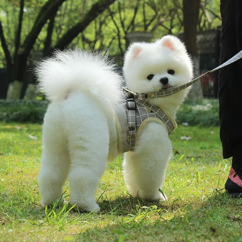Reflective Escape-Proof Harness Leash Set