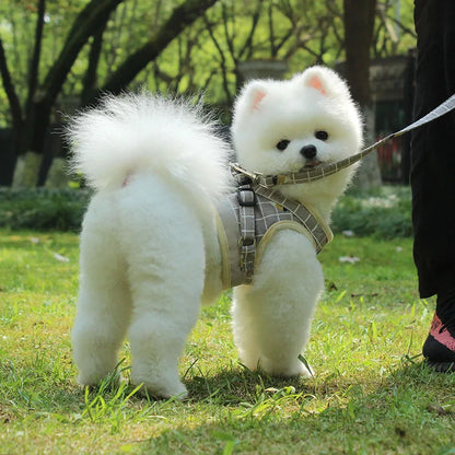 Reflective Escape-Proof Harness Leash Set