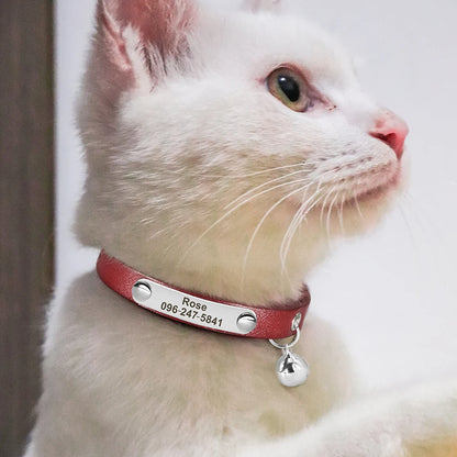 Personalized Leather Collar