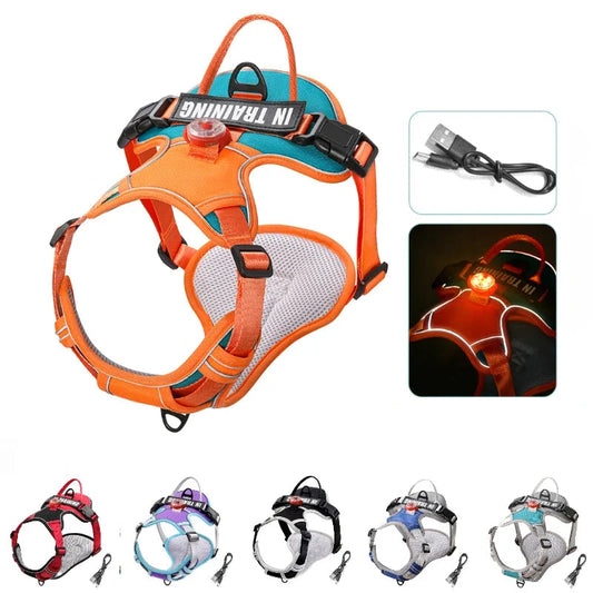 USB Rechargeable LED Harness