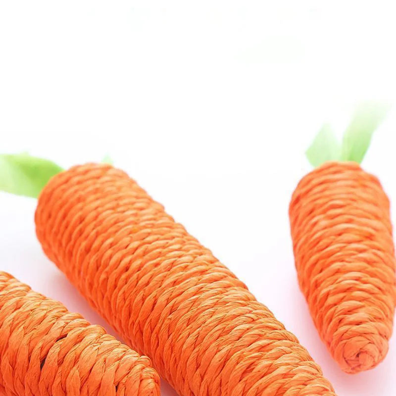 Sound Carrot Toy