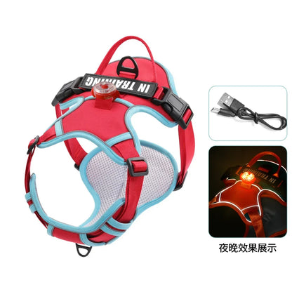 USB Rechargeable LED Harness