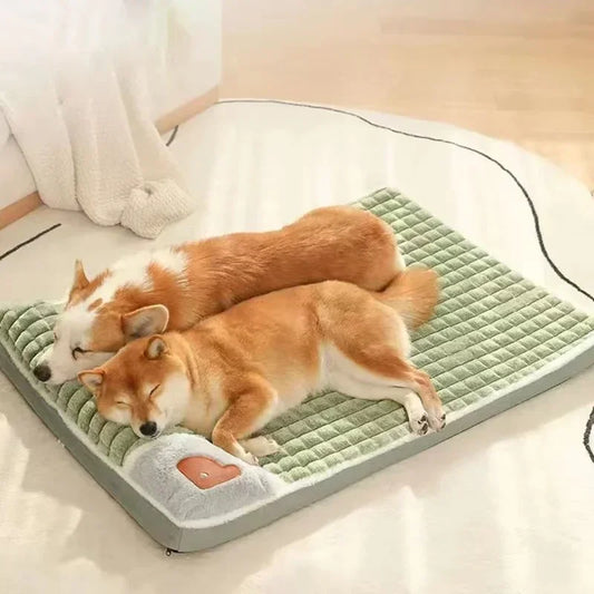 Orthopedic Memory Foam Bed
