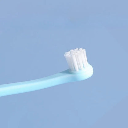 Small Head Toothbrush