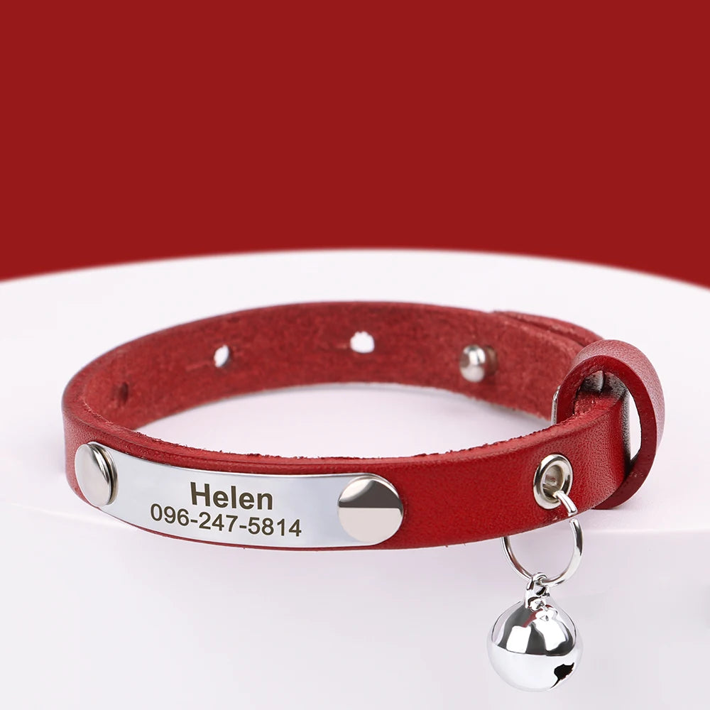 Personalized Leather Collar