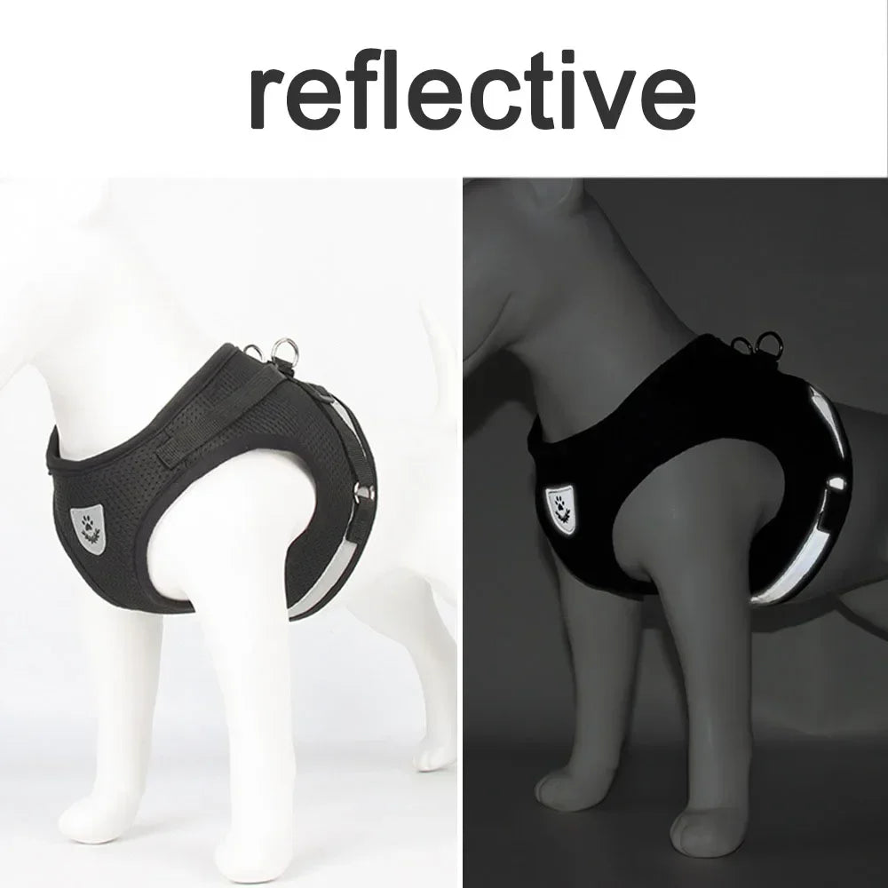 Reflective Escape-Proof Harness Leash Set