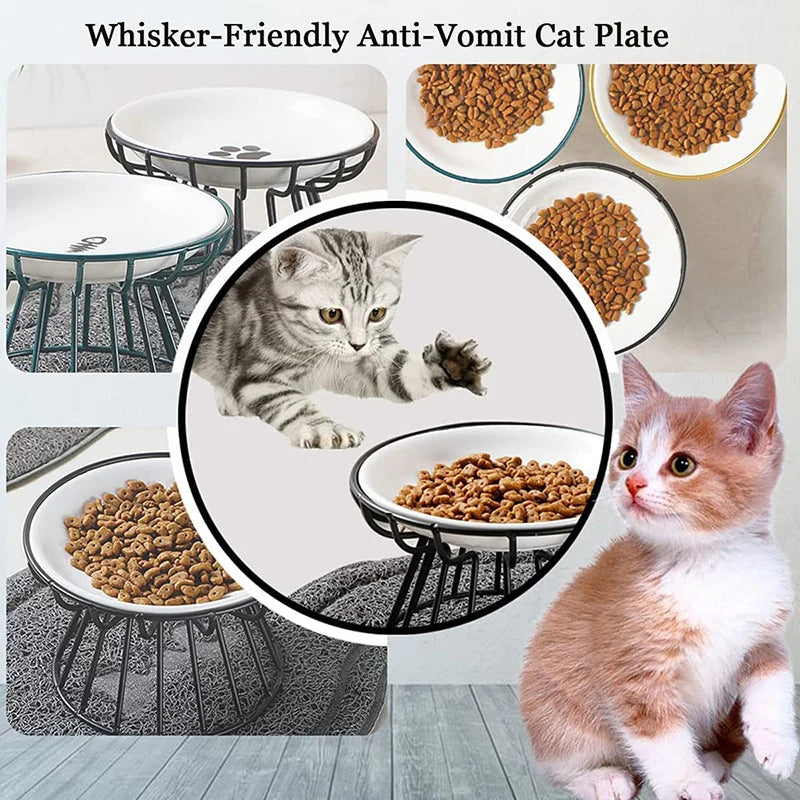 Elevated Ceramic Feeder Bowl