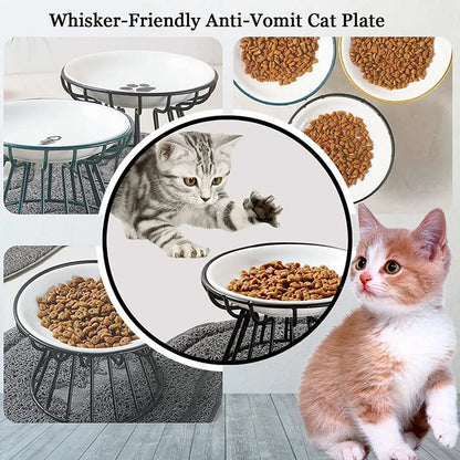 Elevated Ceramic Feeder Bowl