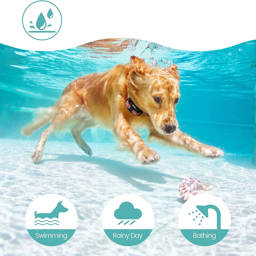 800m Waterproof Training Collar