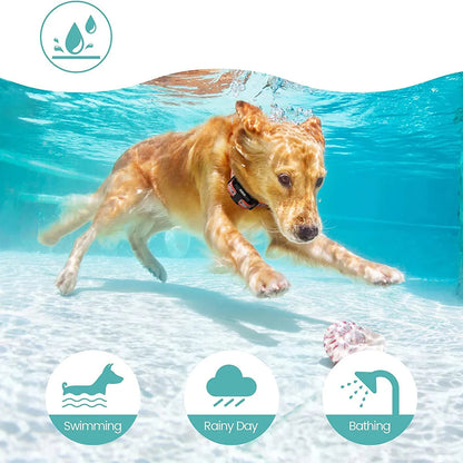 800m Waterproof Training Collar