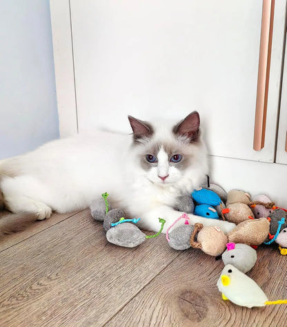 Catnip Rattle Mouse Toys