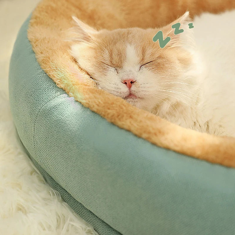 Winter Warm Bed