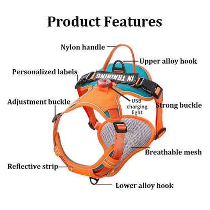 USB Rechargeable LED Harness