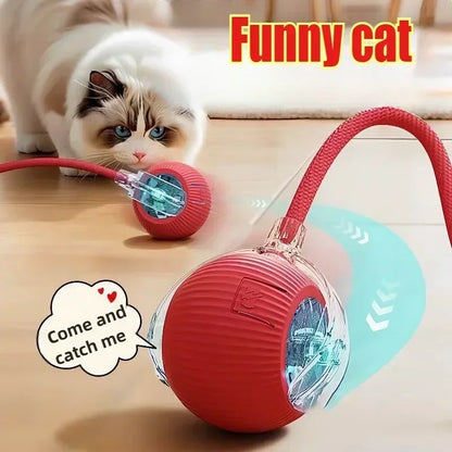 Rechargeable Automatic Rolling Ball Toy