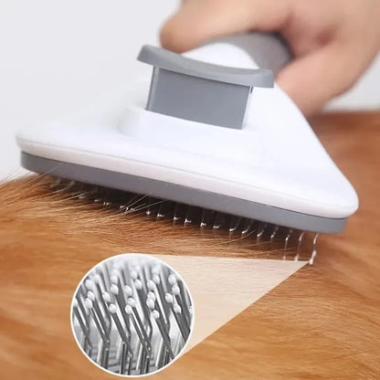 Self-Cleaning Hair Brush