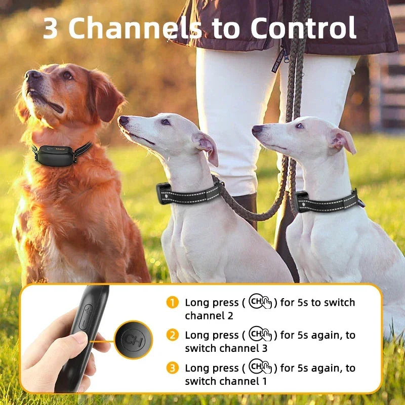 3300FT Dog Training Collar