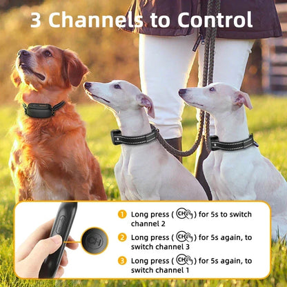 3300FT Dog Training Collar