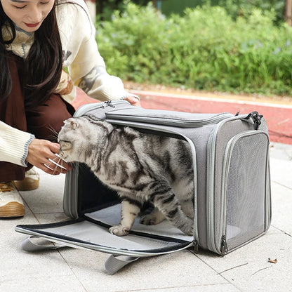 Airline Approved Carrier Bag