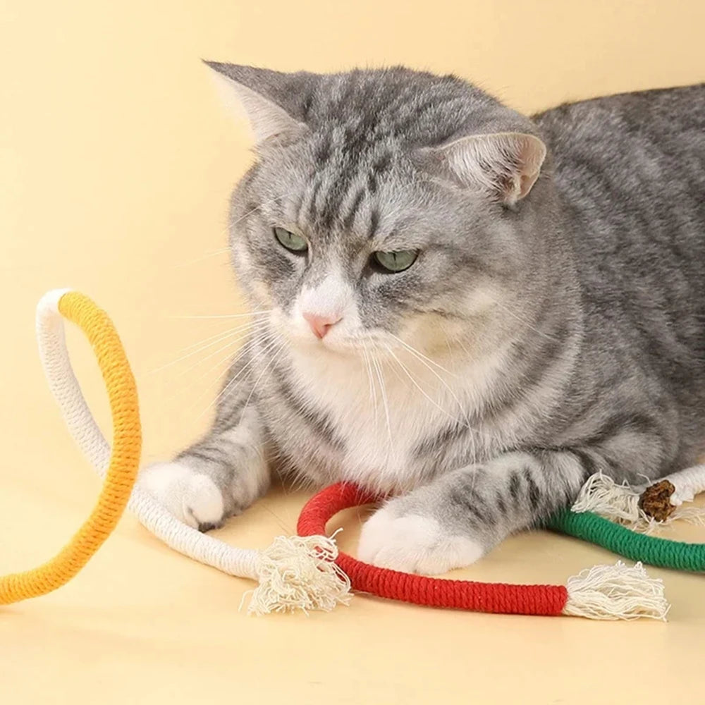 Interactive Catnip Chew Rope Toy
