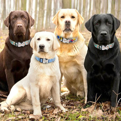 Personalized Nylon Collar