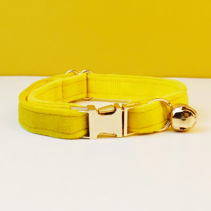 – Personalized ID Tag Collar