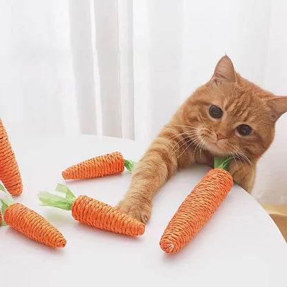 Sound Carrot Toy