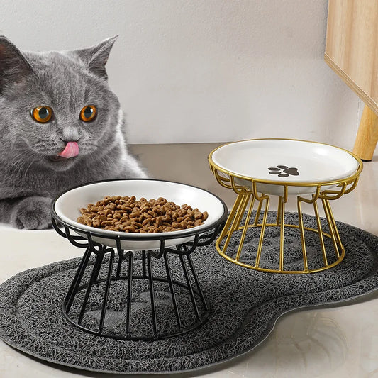 Elevated Ceramic Feeder Bowl