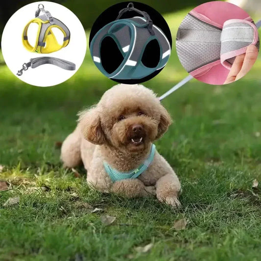Adjustable Harness Leash Set