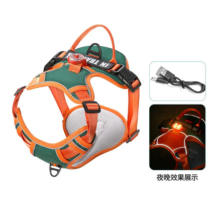 USB Rechargeable LED Harness