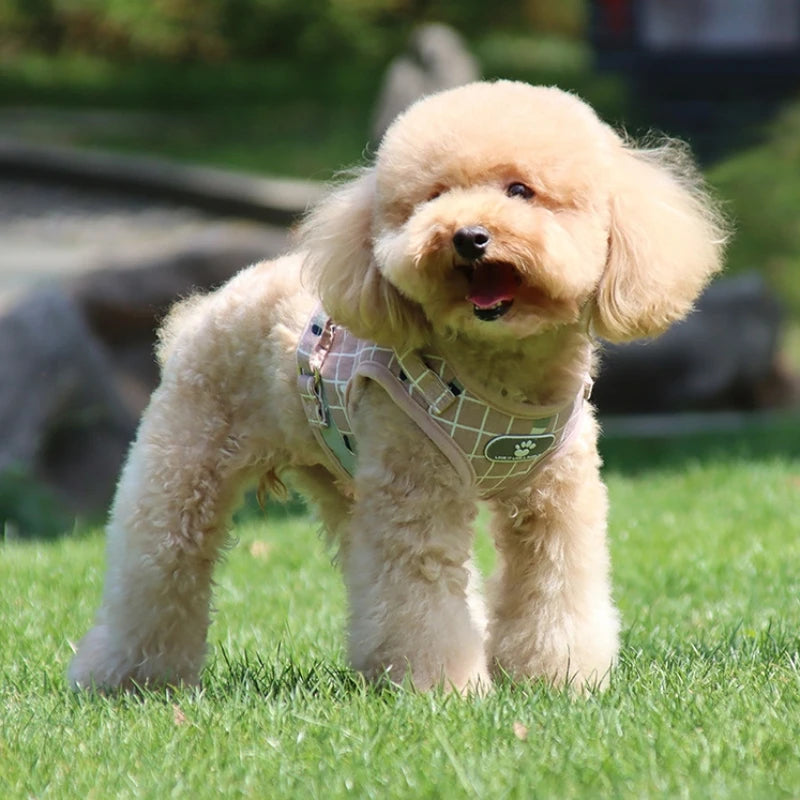 Reflective Escape-Proof Harness Leash Set