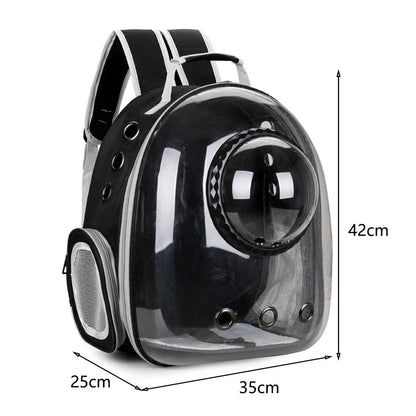 Transparent Space Capsule Backpack