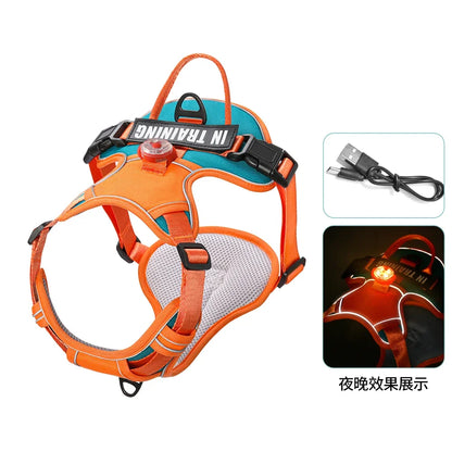 USB Rechargeable LED Harness