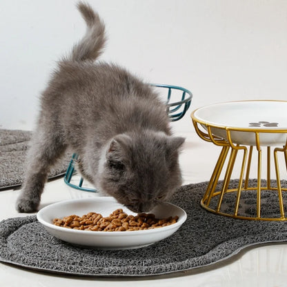 Elevated Ceramic Feeder Bowl