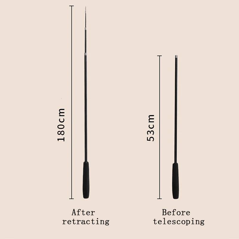 Extra Long Telescopic Wand Toy
