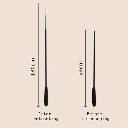 Extra Long Telescopic Wand Toy