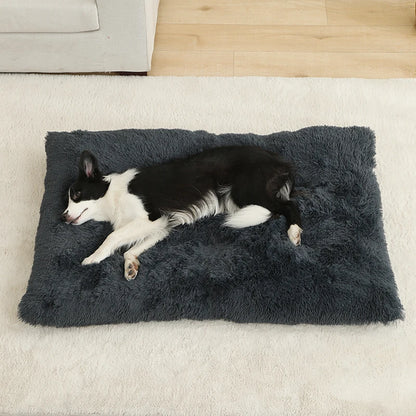 Long Plush Soft Bed