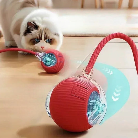 Rechargeable Automatic Rolling Ball Toy