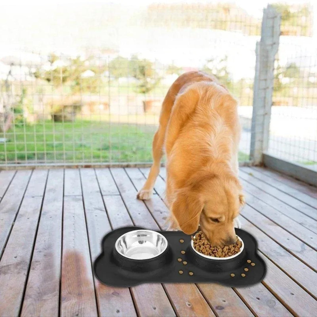 Double Stainless Steel Bowl